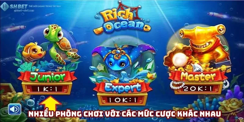 Phòng thi đấu đa cấp độ tăng tính trải nghiệm