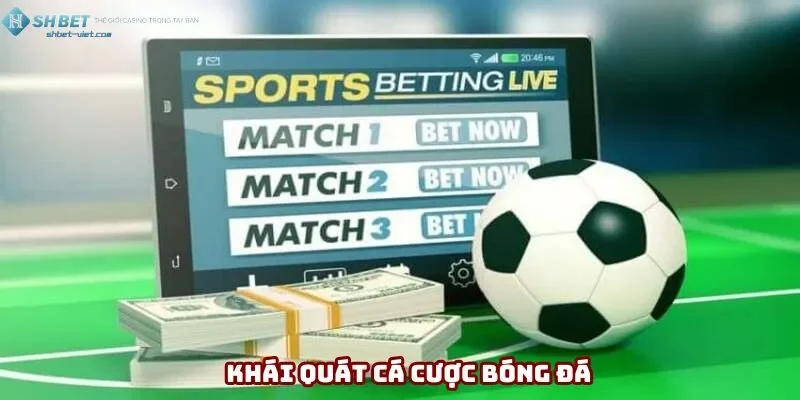 Giới thiệu chung về các hình thức cá cược bóng đá
