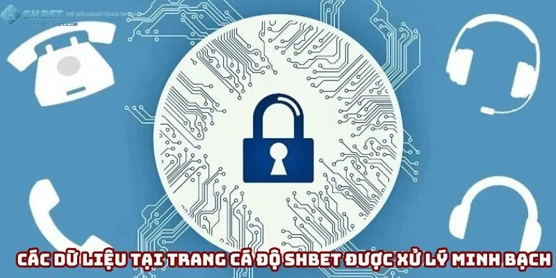 Các dữ liệu tại trang cá độ Shbet được xử lý minh bạch